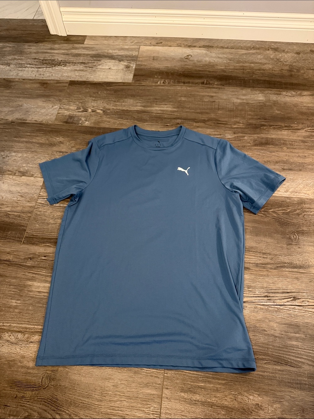 Puma Men’s Steel Blue Short-Sleeve Performance Tee